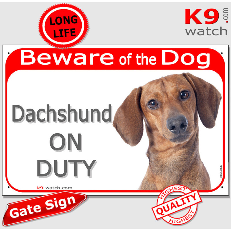 Red smooth-haired Dachshund On Duty gate sign with glossy short coat and bold warning panel for gates, fences and entrances.