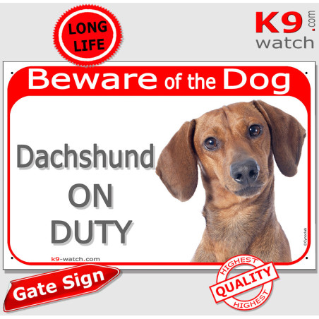 Red smooth-haired Dachshund On Duty gate sign with glossy short coat and bold warning panel for gates, fences and entrances.