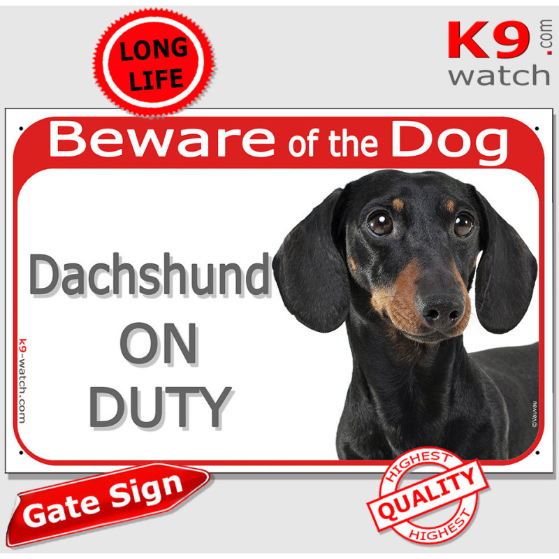 Black and tan smooth-haired Dachshund On Duty gate sign with glossy coat, tan points and red warning panel for gates and doors.