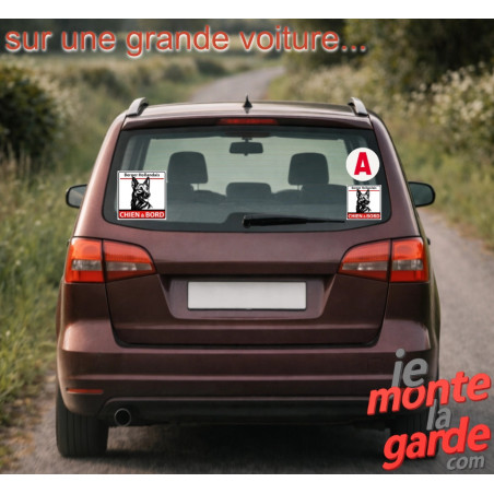 Sticker Berger Hollandais "CHIEN à BORD" Photo de l'installation sur la vitre arrière d'une voiture