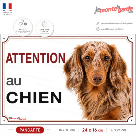 Pancarte Teckel à poil long arlequin fauve "ATTENTION au CHIEN" pour portail, fabrication française