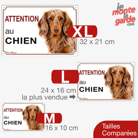 Pancarte Attention au chien Teckel à poil long arlequin fauve, 3 Tailles