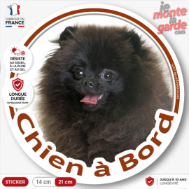 Spitz noir, sticker autocollant voiture rond "Chien à Bord", disque adhésif photo loulou Poméranie, résiste dehors