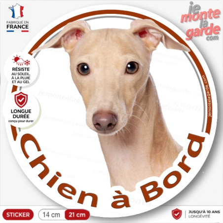 Petit Lévrier Italien fauve beige, disque photo autocollant "Chien à Bord" photo, résiste dehors, idée cadeau