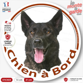Berger Hollandais bringé poils courts Tête, sticker autocollant rond photo pour vitre voiture "Chien à Bord" résiste dehors