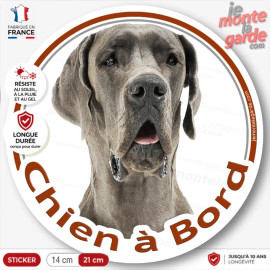 Dogue Allemand gris bleu, sticker autocollant rond "Chien à Bord" Disque adhésif photo Danois race