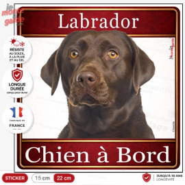 Sticker Labrador chocolat "Chien à Bord" pour voiture, adhésif durable fabriqué en France