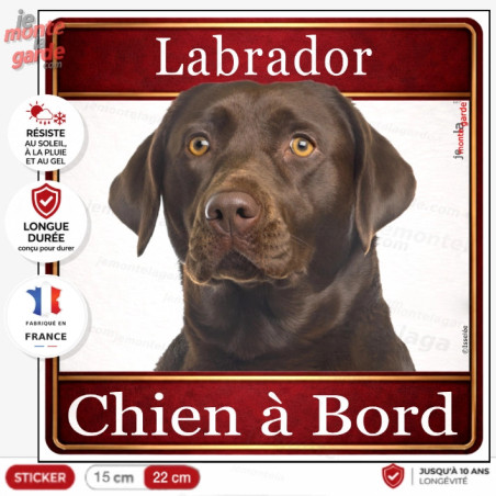Sticker Labrador chocolat "Chien à Bord" pour voiture, adhésif durable fabriqué en France