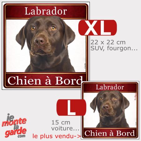 Sticker voiture carré Labrador chocolat "Chien à Bord", résiste dehors, 2 Tailles