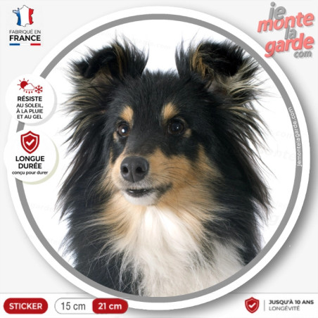 Berger Shetland tricolore, sticker autocollant rond "photo" Disque intérieur ou Extérieur, sheltie noir et feu adhésif
