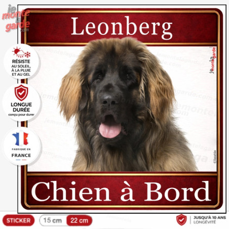 Sticker Leonberg "Chien à Bord" fauve à masque noir pour voiture, fabrication française durable