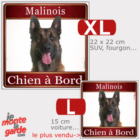 Sticker voiture carré Malinois "Chien à Bord", résiste dehors, 2 Tailles
