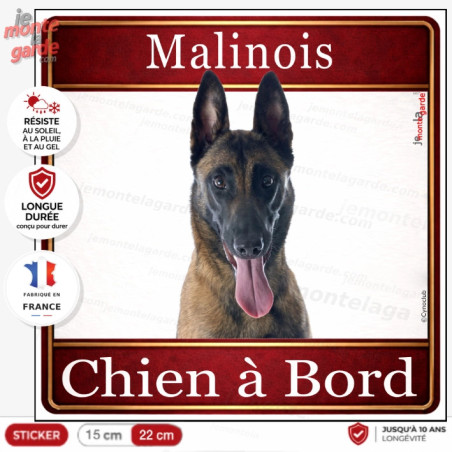 Sticker Malinois fauve charbonné à masque noir "Chien à Bord" pour voiture, fabrication française durable