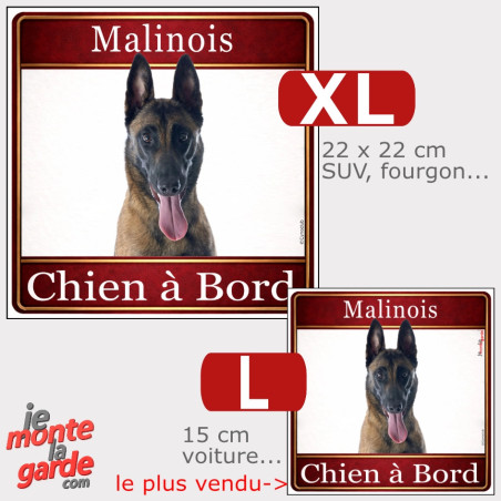 Sticker voiture carré Malinois "Chien à Bord", résiste dehors, 2 Tailles