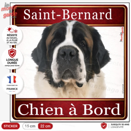 Sticker carré Saint-Bernard "Chien à Bord" pour voiture, adhésif durable fabriqué en France