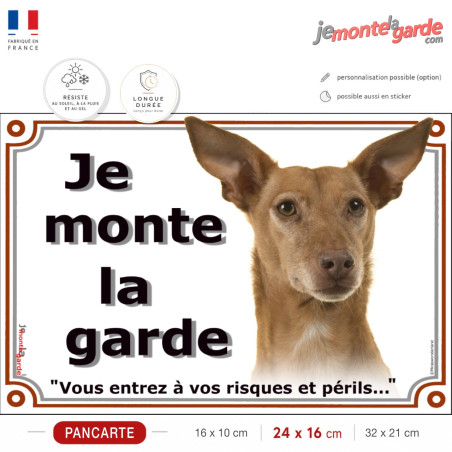Podenco d'Ibiza fauve, plaque portail "Je Monte la Garde, vous entrez à vos risques et périls" photo, résiste dehors