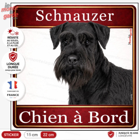 Sticker carré Schnauzer noir "Chien à Bord" pour voiture, adhésif durable fabriqué en France