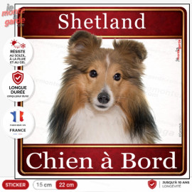 Sticker carré Shetland zibeline fauve et blanc "Chien à Bord" pour voiture, fabrication française