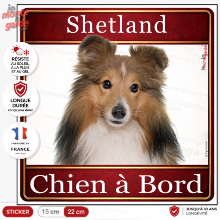Sticker carré Shetland zibeline fauve et blanc "Chien à Bord" pour voiture, fabrication française