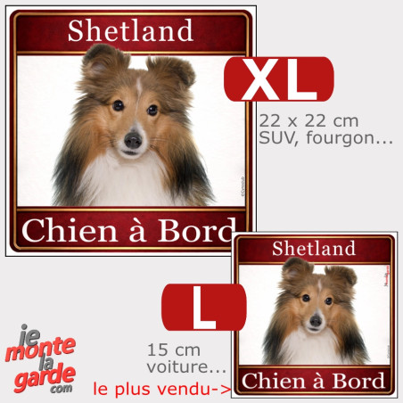 Sticker voiture carré Berger Shetland "Chien à Bord", résiste dehors, 2 Tailles
