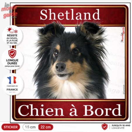 Sticker carré Shetland tricolore noir, fauve et blanc "Chien à Bord" pour voiture, fabrication française