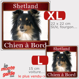 Sticker voiture carré Berger Shetland "Chien à Bord", résiste dehors, 2 Tailles
