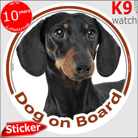 Black and Tan Smooth-Haired Dachshund Dog on Board Sticker 15 cm
