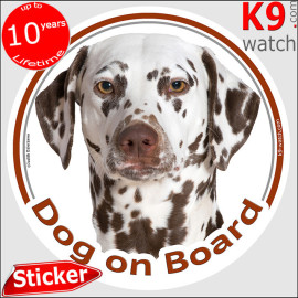 Liver-spotted Dalmatian Dog on Board sticker with brown spots, amber eyes and white short coat for car windows, vans and cars.