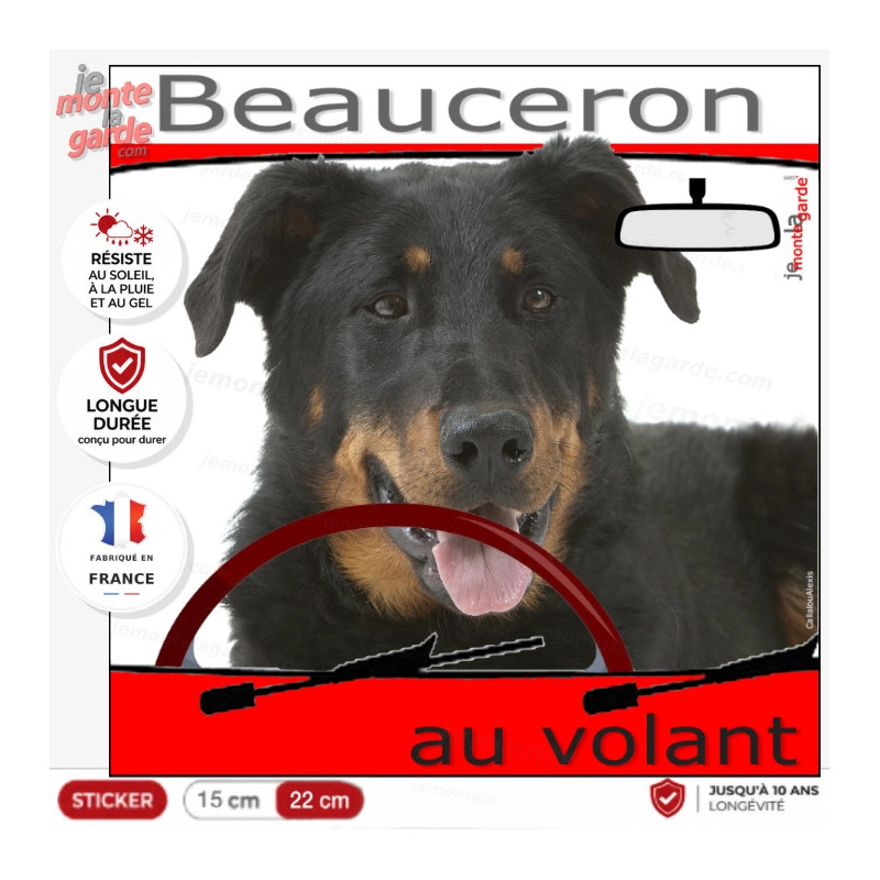 "Beauceron au volant" panneau autocollant humoristique voiture photo sticker drôle chien à bord Berger de Beauce Bas-rouge "Beauceron au volant" panneau autocollant humoristique voiture photo sticker drôle chien à bord Berger de Beauce Bas-rouge