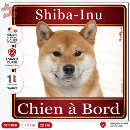 Sticker carré Shiba-Inu rrouge avec urajiro "Chien à Bord" pour voiture, fabrication française, résiste dehors