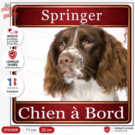 Sticker carré Springer anglais foie et blanc "Chien à Bord" pour voiture, fabrication française durable