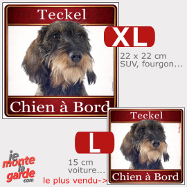 Sticker carré Teckel à poil dur sanglier "Chien à Bord" résiste dehors, 2 Tailles