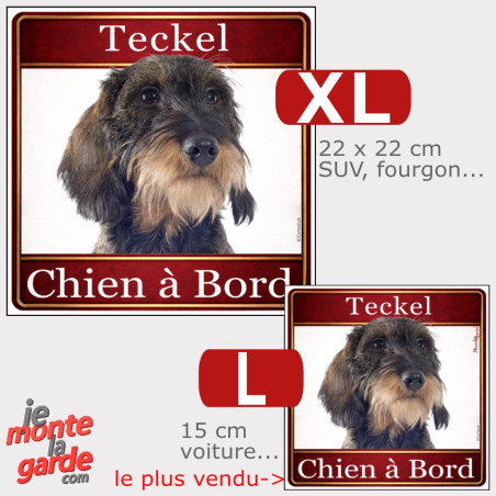 Sticker carré Teckel à poil dur sanglier "Chien à Bord" résiste dehors, 2 Tailles