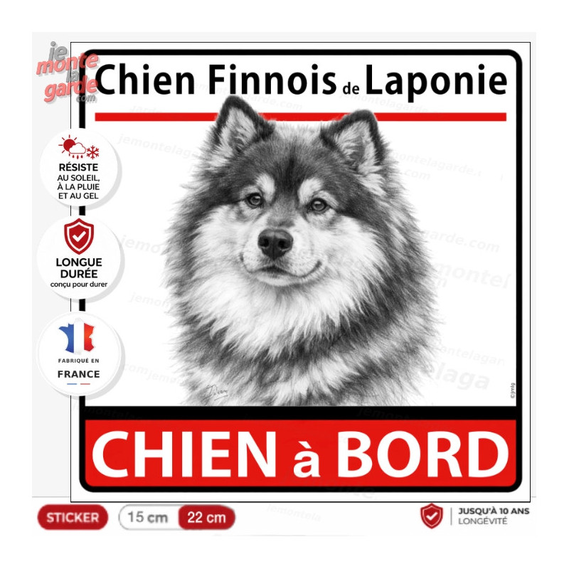 Sticker carré Chien Finnois de Laponie "CHIEN à BORD" pour voiture, illustration monochrome fabriquée en France