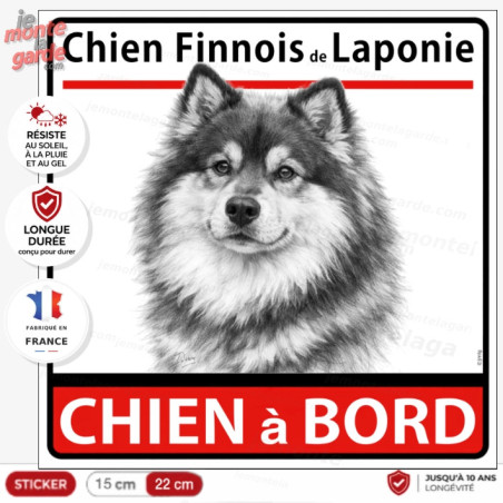 Autocollant voiture dessin "Chien Finnois de Laponie à Bord" résiste dehors, 2 Tailles