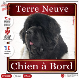 Sticker carré Terre-Neuve "Chien à Bord" pour voiture, portrait imposant et fabrication française durable