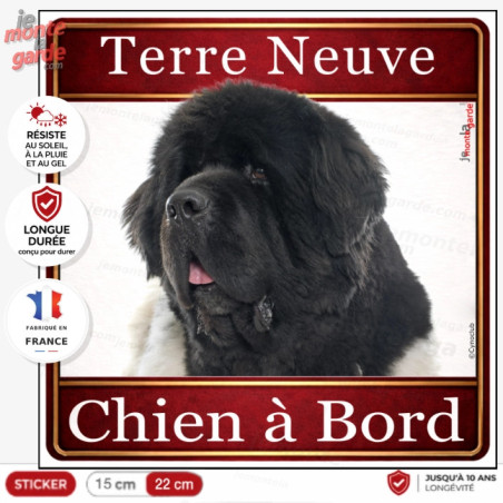 Sticker carré Terre-Neuve "Chien à Bord" pour voiture, portrait imposant et fabrication française durable