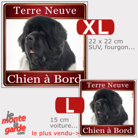 Terre Neuve, Sticker carré photo "Chien à Bord" résiste dehors, 2 Tailles