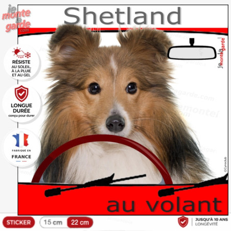 "Shetland au volant" photo autocollant voiture humour avec un Sheltie fauve zibeline, résiste dehors, idée cadeau, 2 Tailles D "Shetland au volant" photo autocollant voiture humour avec un Sheltie fauve zibeline, résiste dehors, idée cadeau, 2 Tailles D