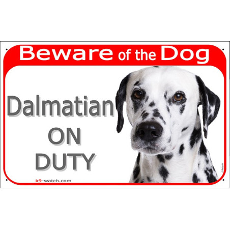 Black-spotted Dalmatian On Duty gate sign with white short coat, black spots and alert portrait for gates, fences and entrances.