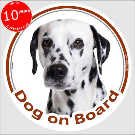Black-Spotted Dalmatian Dog on Board Sticker 15 cm Black-Spotted Dalmatian Dog on Board Sticker 15 cm