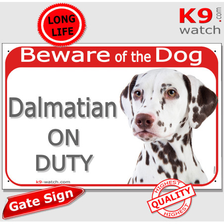 Liver-spotted Dalmatian On Duty gate sign with elegant side glance, amber eyes and refined brown-spotted white coat.