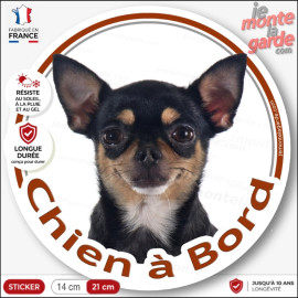Chihuahua noir et feu poils courts, sticker autocollant rond "Chien à Bord" disque photo adhésif vitre voiture, résiste dehors