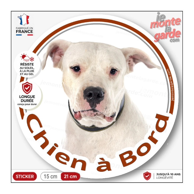 Dogue Argentin Tête, sticker autocollant rond "Chien à Bord" Disque photo vitre voiture chien, résiste dehors, idée cadeau