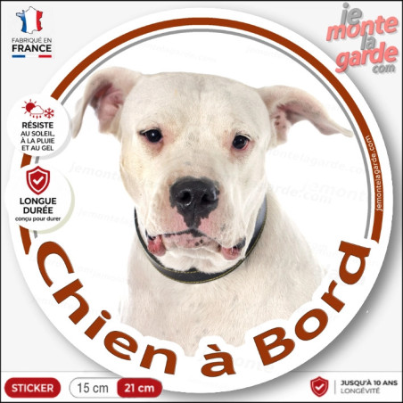 Dogue Argentin Tête, sticker autocollant rond "Chien à Bord" Disque photo vitre voiture chien, résiste dehors, idée cadeau