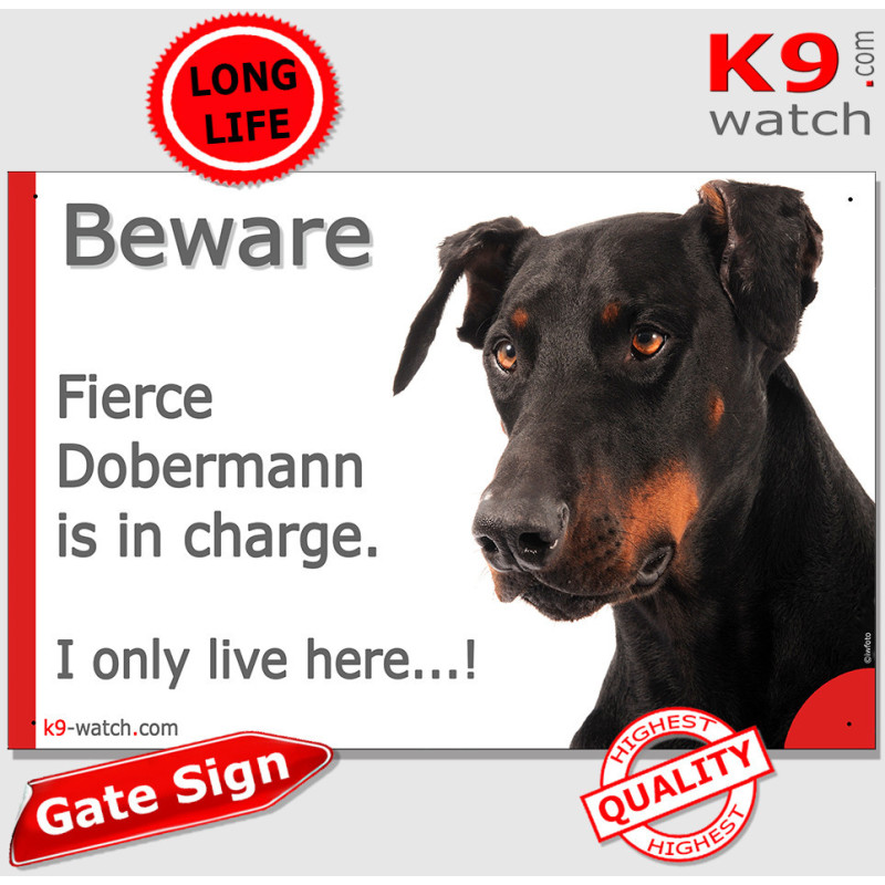 Funny Black and Tan Dobermann Gate Sign | Fierce Dobermann Is in Charge