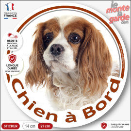 Cavalier King Charles Blenheim blanc et marron orange, sticker autocollant rond "Chien à Bord" Disque adhésif photo vitre auto