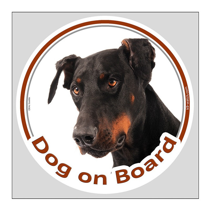 Black and rust Dobermann “Dog on Board” car sticker with an elegant watchful portrait. Black and rust Dobermann “Dog on Board” car sticker with an elegant watchful portrait.