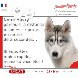 Husky Sibérien gris yeux bleus, plaque humour "parcourt Distance Niche-Portail moins 3 secondes" photo, résiste dehors