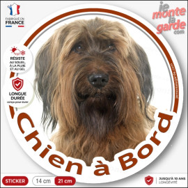 Sticker autocollant rond "Chien à Bord"  Briard, Berger de Brie fauve marron, adhésif vitre voiture, chien auto photo